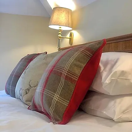 Bay Horse Goldsborough 3*
