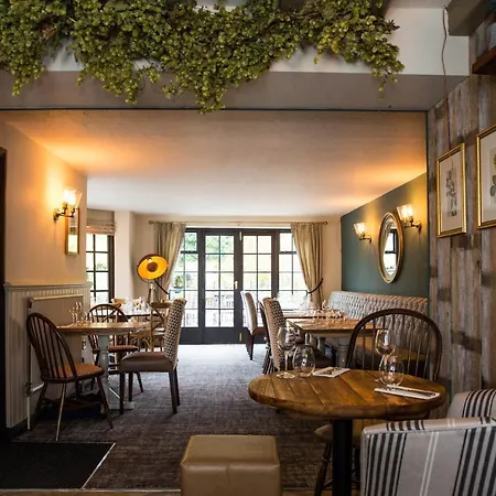 Bay Horse Goldsborough